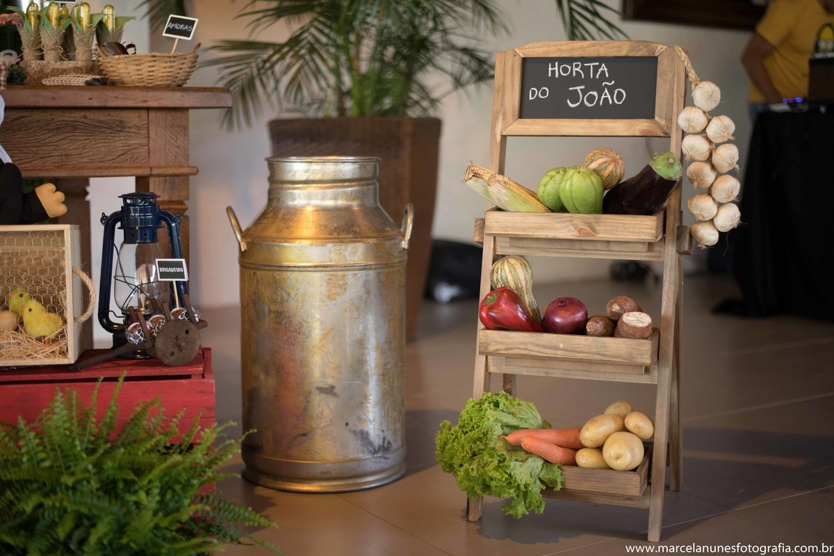 aniversario-infantil-1-ano-fazendinha-do-joao-recanto-do-bosque-guaratingueta-sp