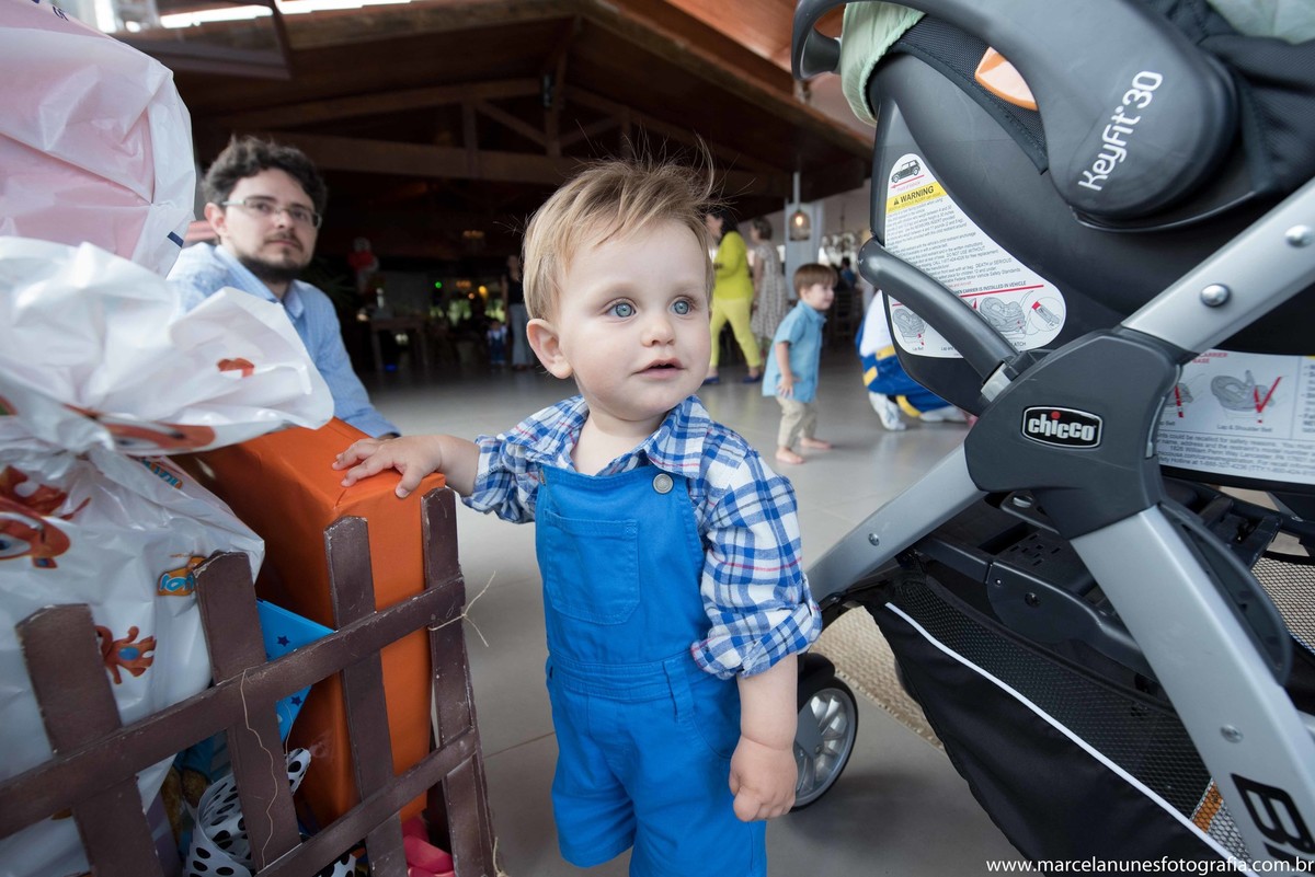 aniversario-infantil-1-ano-fazendinha-do-joao-recanto-do-bosque-guaratingueta-sp