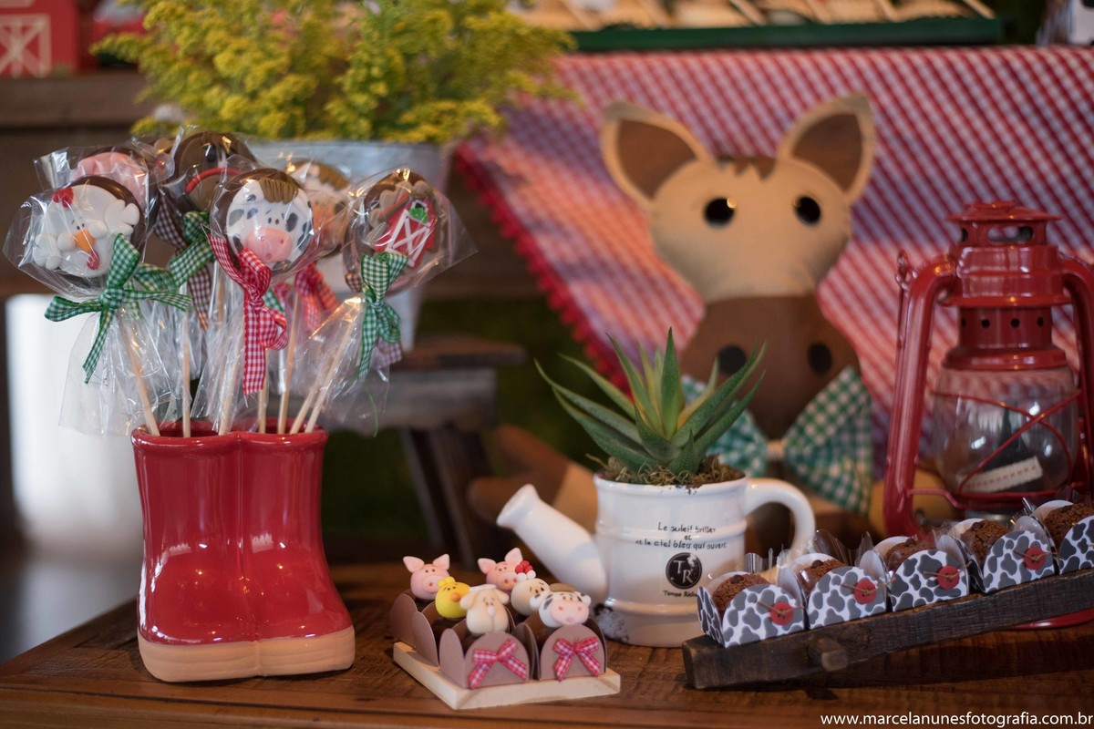 aniversario-infantil-1-ano-fazendinha-do-joao-recanto-do-bosque-guaratingueta-sp