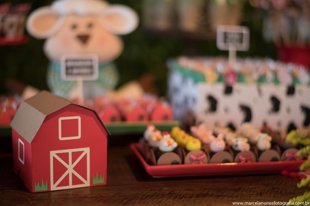 aniversario-infantil-1-ano-fazendinha-do-joao-recanto-do-bosque-guaratingueta-sp