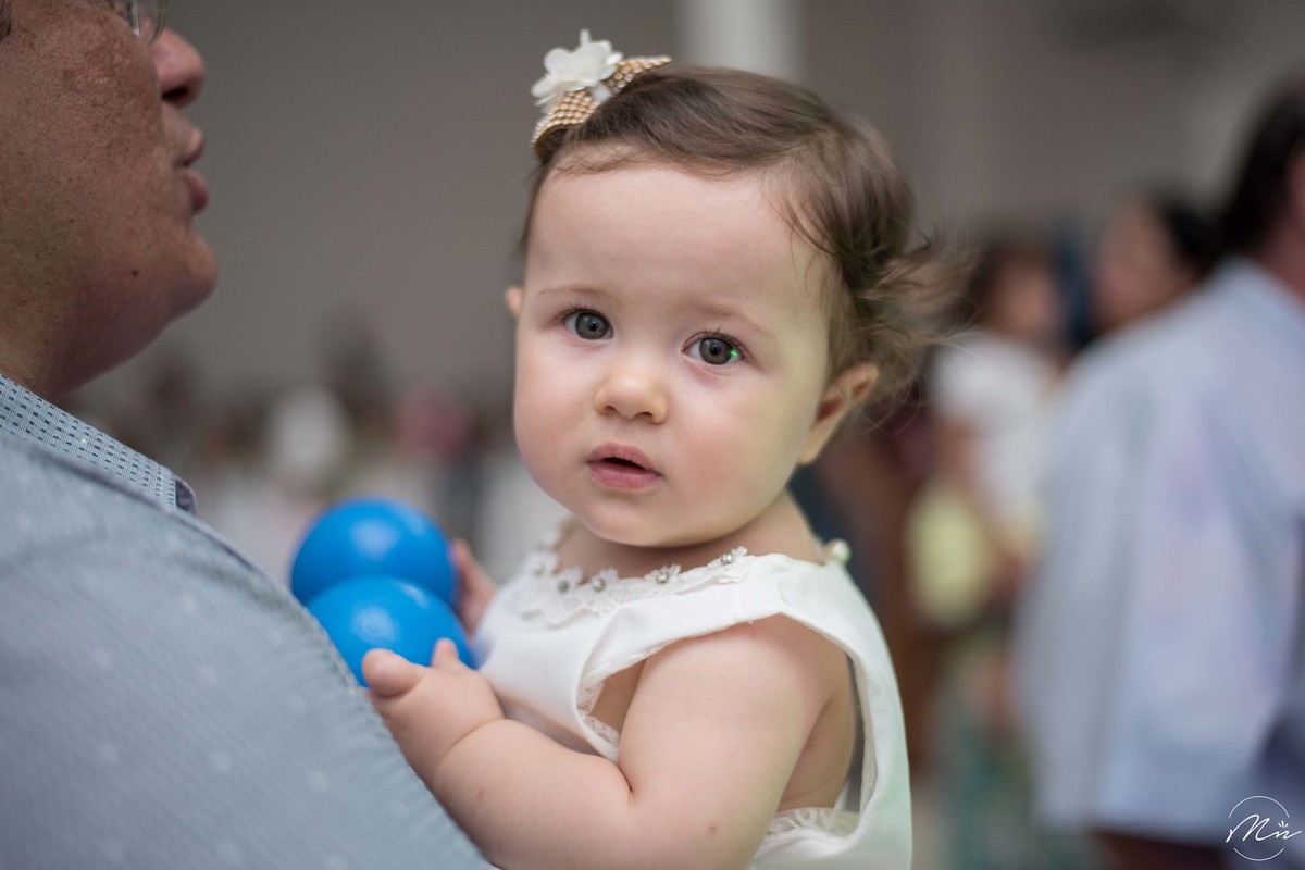 aniversario-infantil-usinha-princesa-Emanuela-guaratingueta-sp