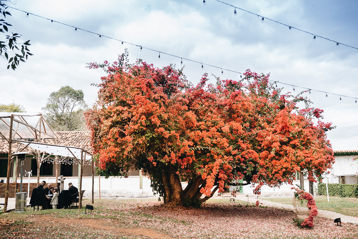 barbara dutra e henrique, matheus koelho, fotografo de casamento, fotografo em portugal, jagoara velha
