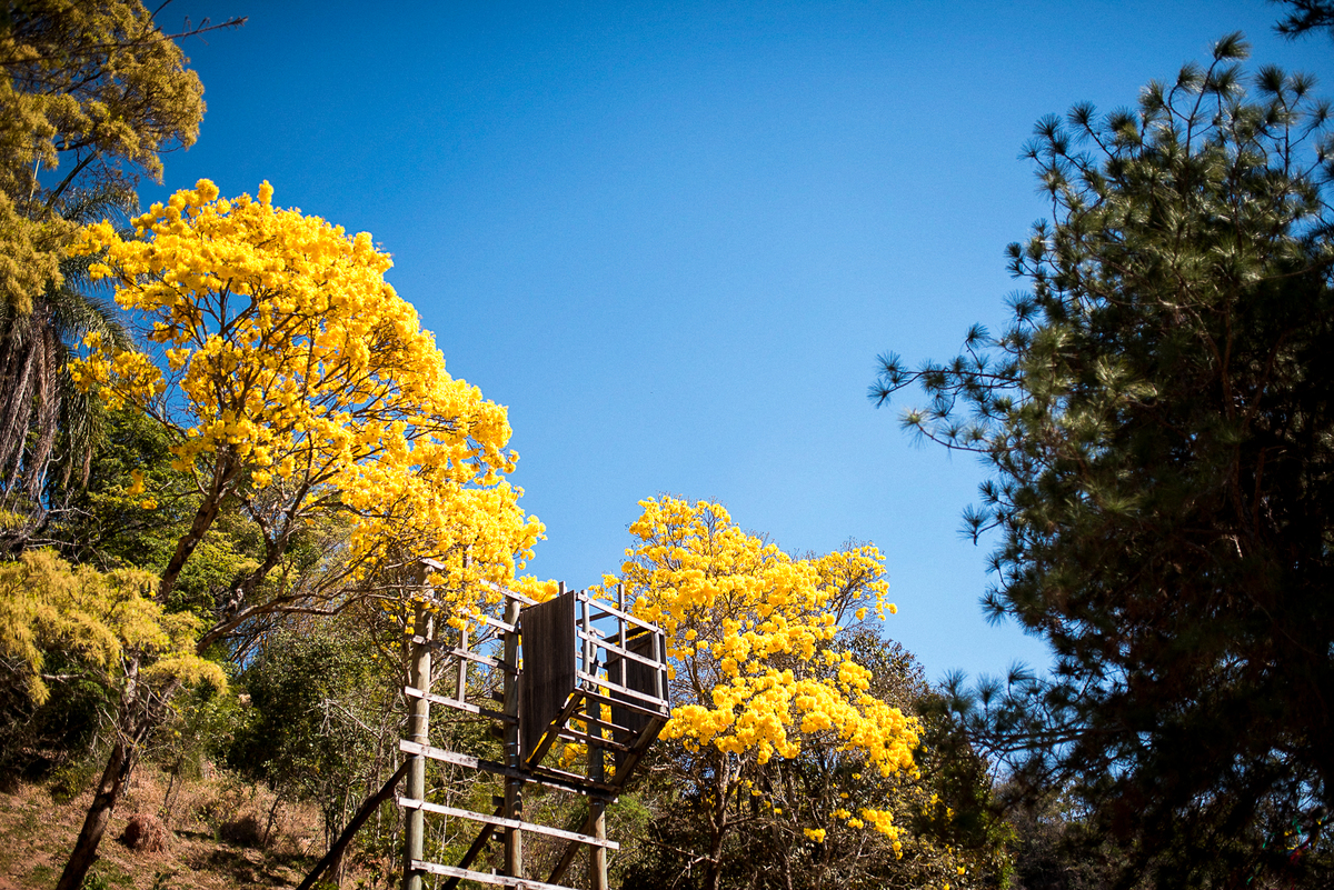 fotografo de casamento em portugal, destination wedding, matheus koelho fotografia, casamento boho, casamento de dia, casamento no campo, 