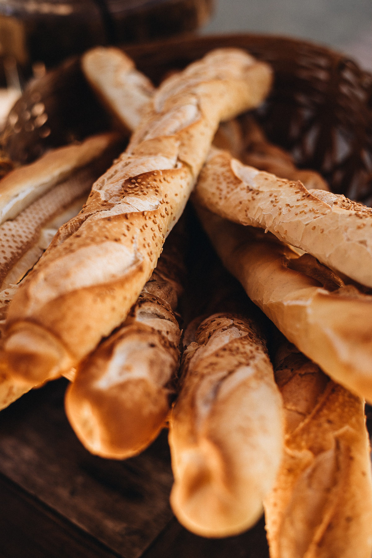 fotografo de casamento em portugal, destination wedding, matheus koelho fotografia, casamento boho, casamento de dia, casamento no campo, 