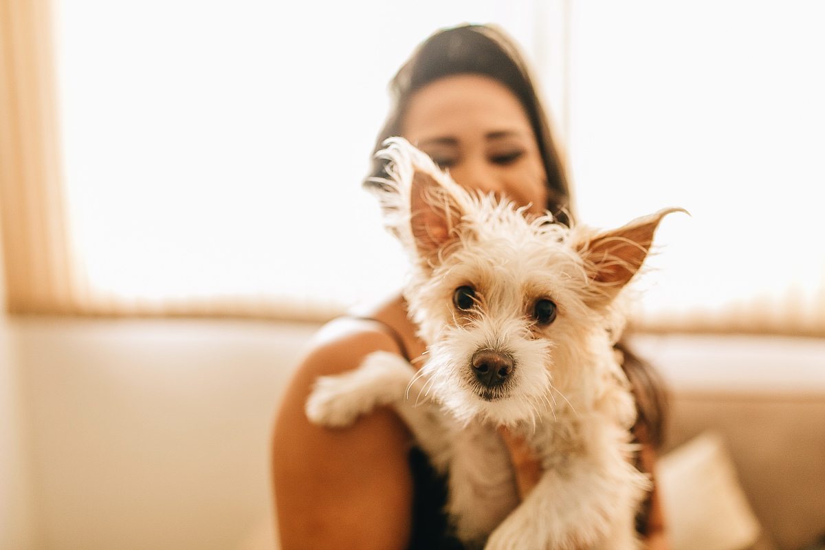 fotografo de casamento, fotografo em portugal, fotografia de casamento, casamento, casamento em bh, vestido de noiva, decoracao de casamento, matheus koelho