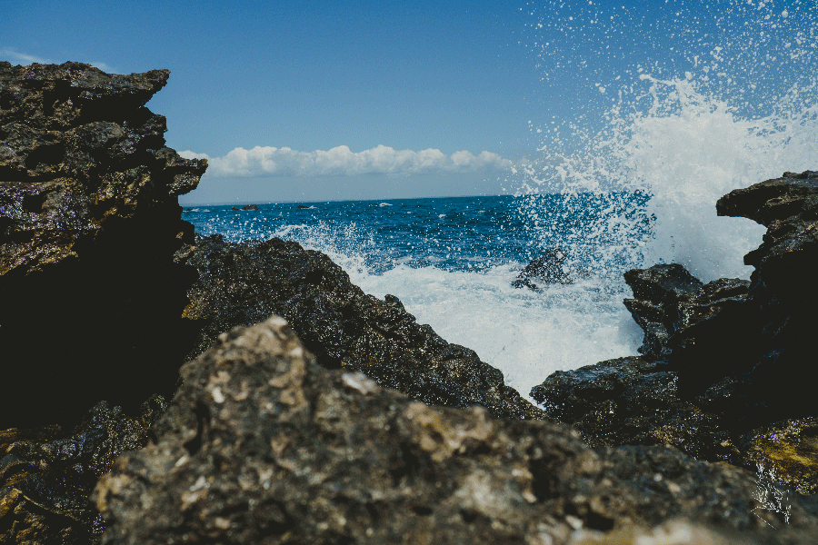 matheus koelho , fotografo de casamento bh, sp, rj, destinationwedding, casamento na bahia, casamento em morrodesãopaulo, casamentonapraia, casamentodiurno, casamentoaoarlivre, pordosol, bahia,