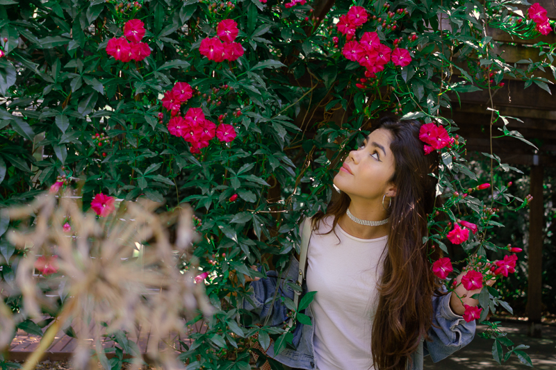 Imagem capa - Mitos e Verdades Sobre Ensaio Feminino por Sabinols