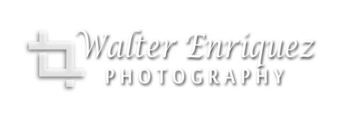 Logotipo de Walter Daniel Enriquez