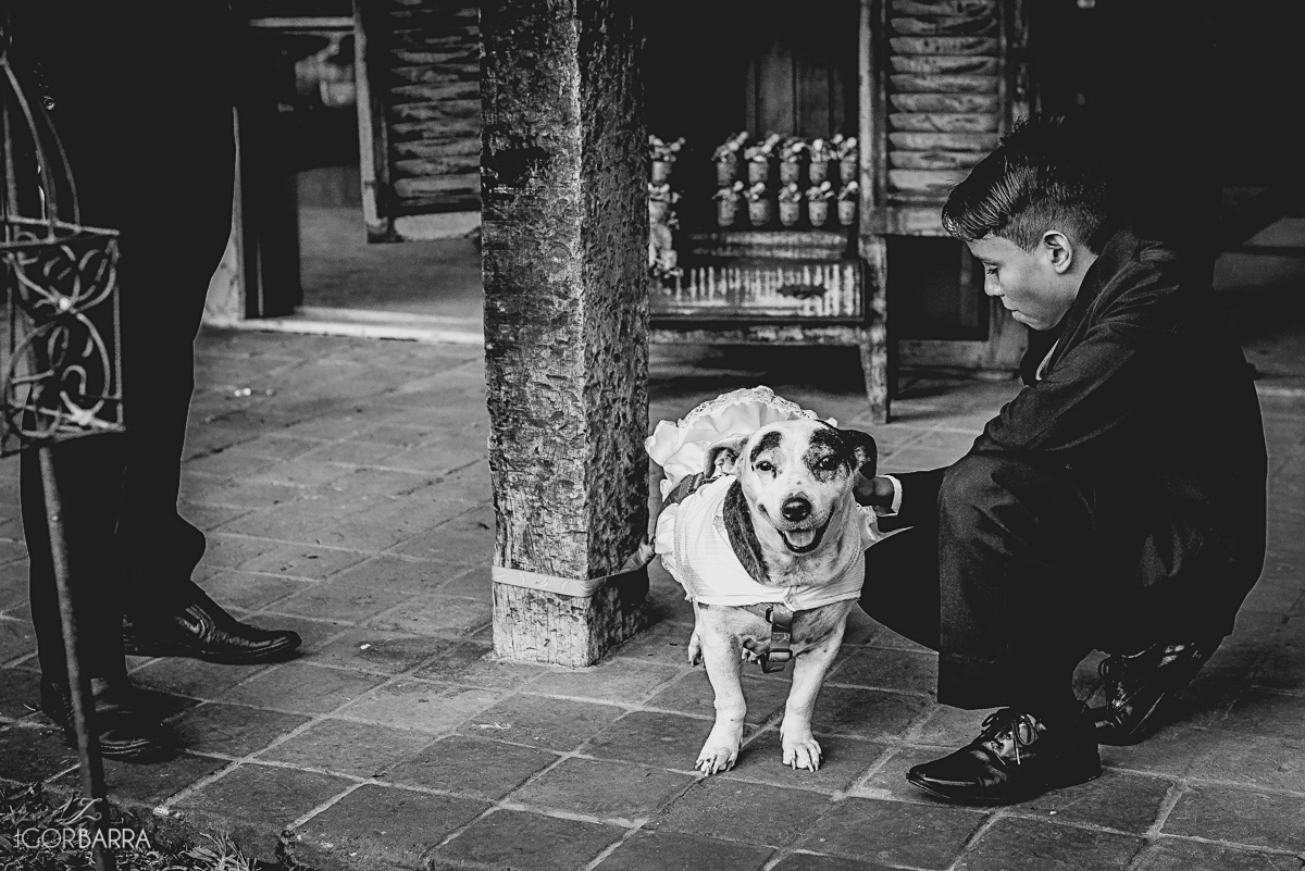 Mangarito, cadelinha daminha, daminha cachorro, cão casamento, cerimonia, recepção, magarito, juiz de fora, mg