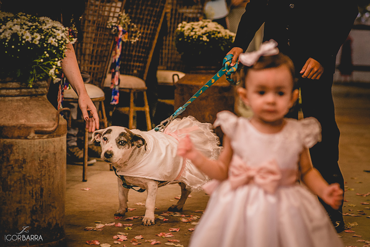 Pajens, Daminhas, cão, caelinha, decoração Isabel Mendes, Mangarito, Casamento, Juiz de Fora, MG