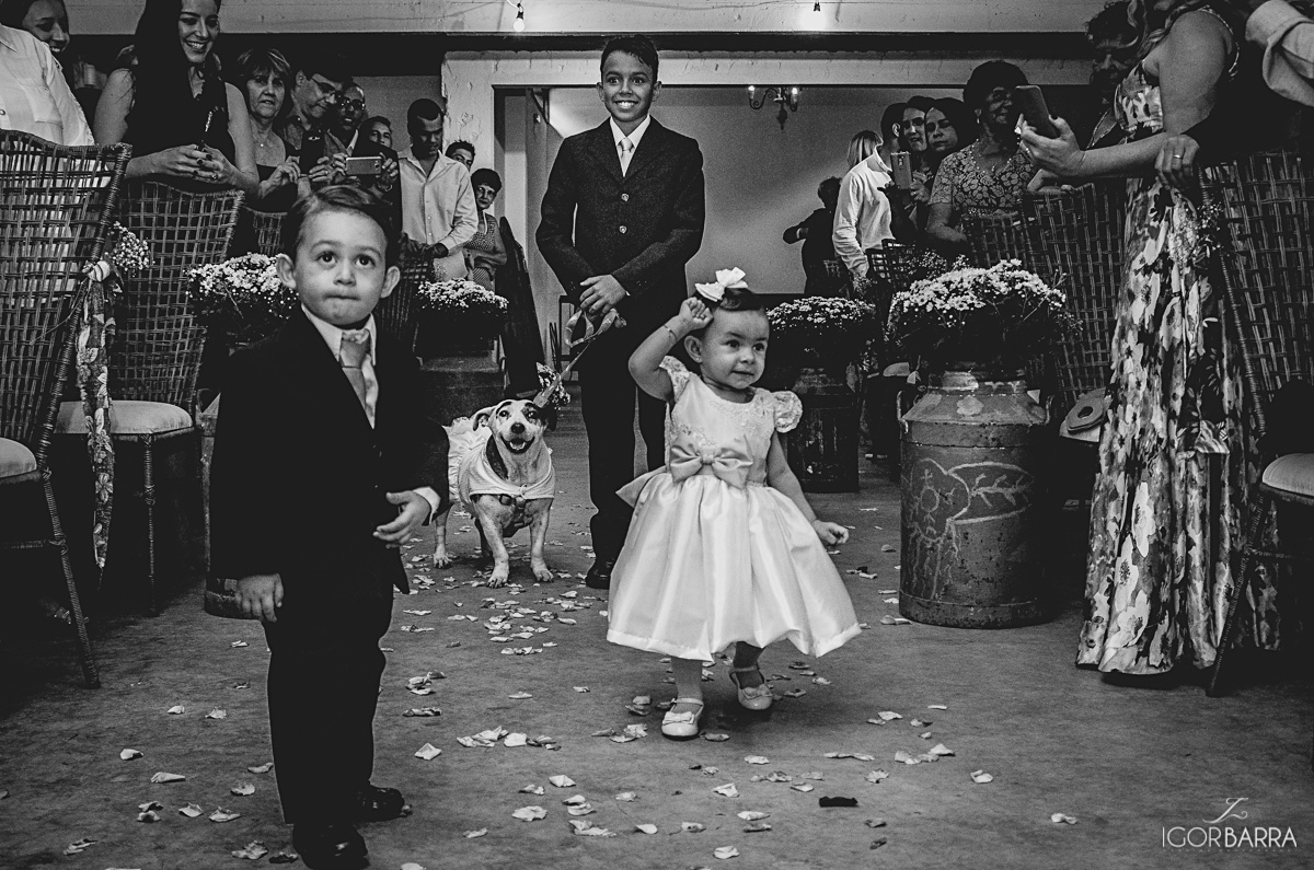 Pajens, Daminhas, cão, caelinha, decoração Isabel Mendes, Mangarito, Casamento, Juiz de Fora, MG