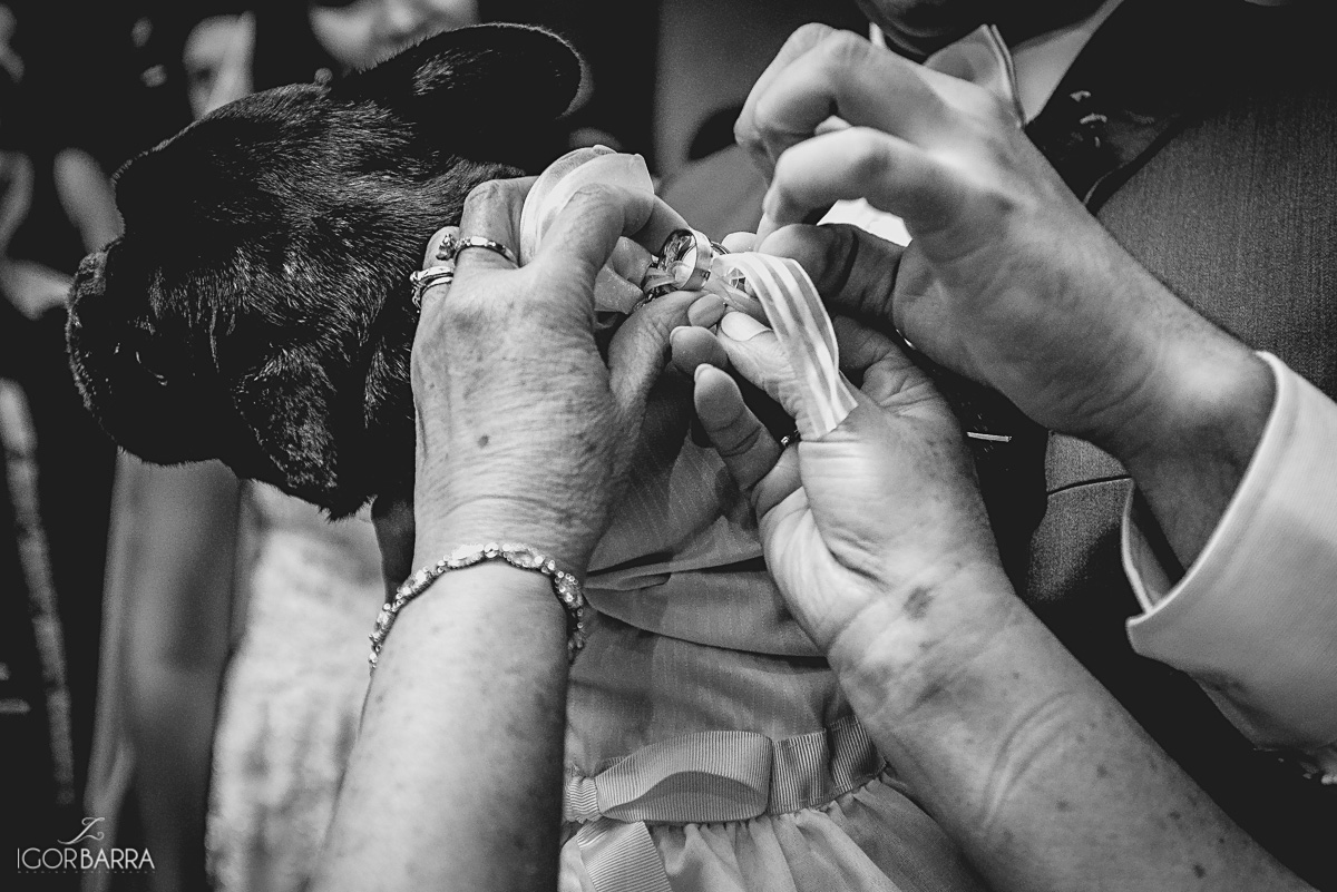 Noivo, Noiva, Cerimonia, ZCarlos Oliveira, emocionante, linda, decoração Isabel Mendes, Mangarito, Casamento, igor barra, fotografo jf, fotografo Juiz de Fora, juiz de fora, MG