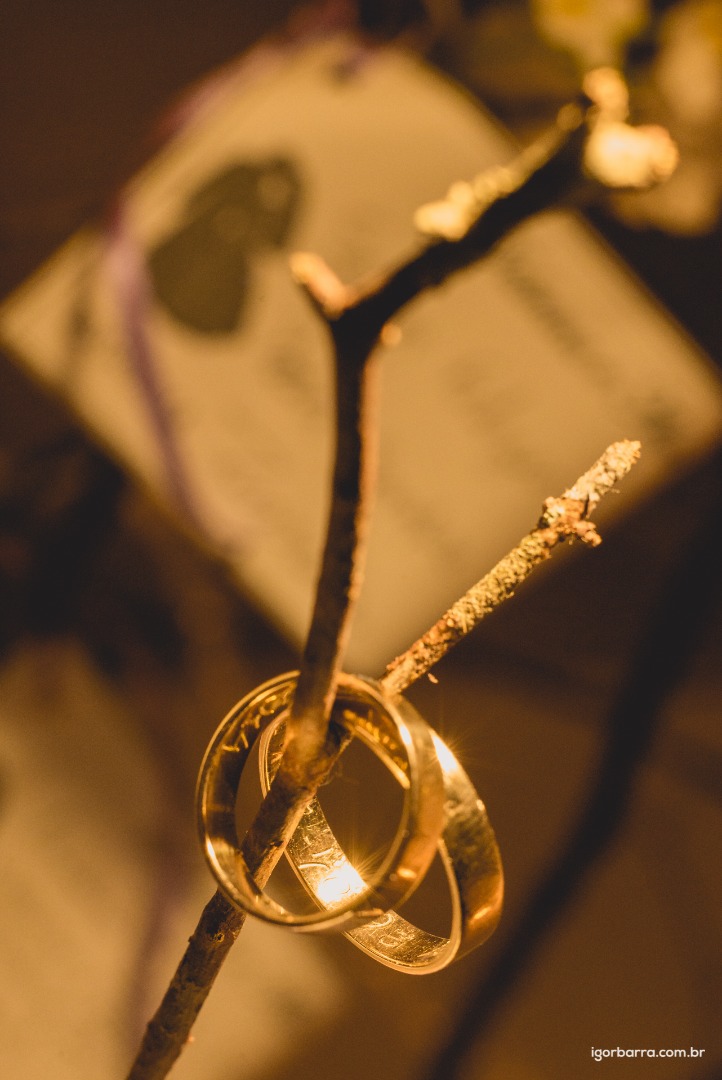 making-off, noiva, casamento, juiz de fora, vestido de noiva, Elegance Noivas, Igreja Matriz Nossa Senhora do Perpétuo Socorro, Cerimonial Isabella Pippa, Espaço Estilo e Festas
Buffet (bolo, doces, salgados): Buffet Estilo e Festas, Maxim Plaza Hotel