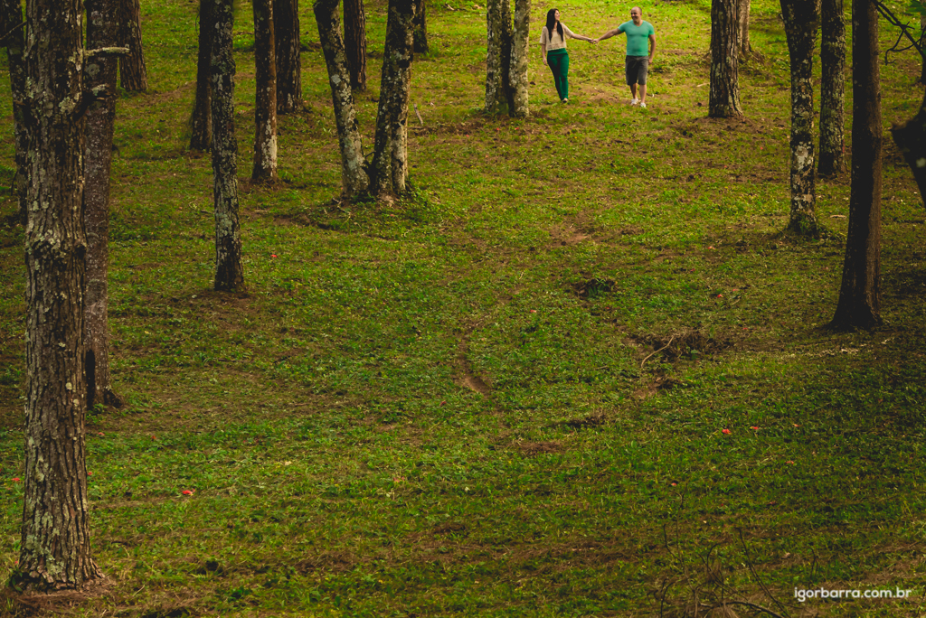 fotografo, casamento, Juiz de Fora, MG, Sessão de fotos, pré casamento, noivos, e-sesion