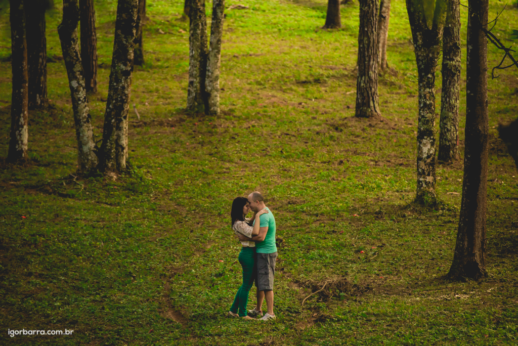 fotografo, casamento, Juiz de Fora, MG, Sessão de fotos, pré casamento, noivos, e-sesion