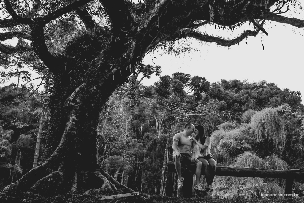 fotografo, casamento, Juiz de Fora, MG, Sessão de fotos, pré casamento, noivos, e-sesion