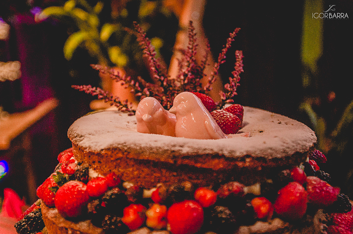 noiva, noivo, casamento, festão, recepção, Casarão imperial, juiz de fora, fotografo, juiz de fora, mg