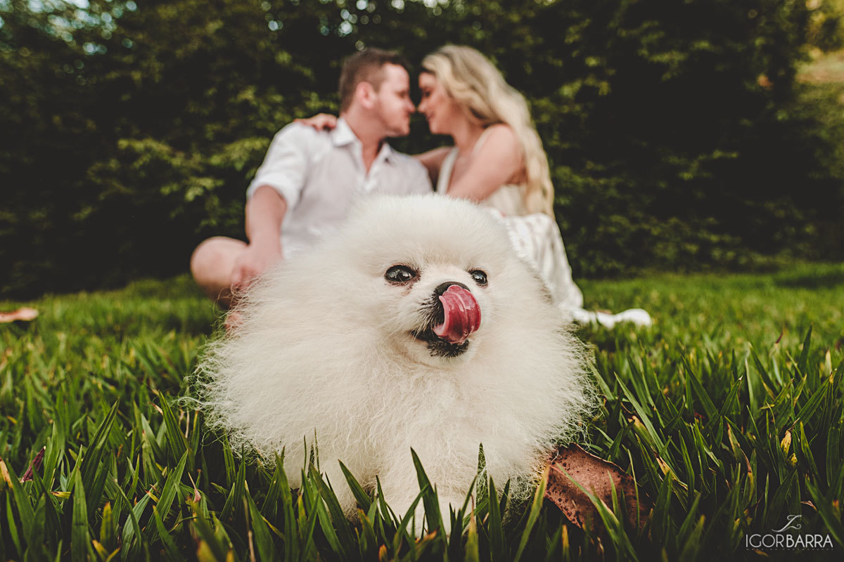 foto com pet, pet, doguinho, lulu da Pomerania, Pre-casamento, pre-wedding, e-session, fotos noivos, fotos casal, São João Nepomuceno, Juiz de fora, minas gerais, fotografia de casal, fotografia de casamento, igor barra fotografo, fotografo minas gerais