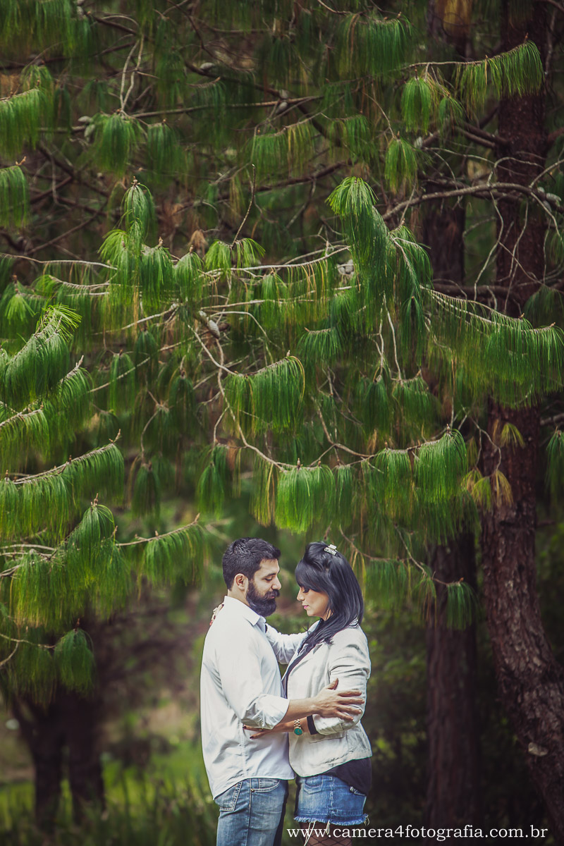 noivos no jardim em Monte Verde MG