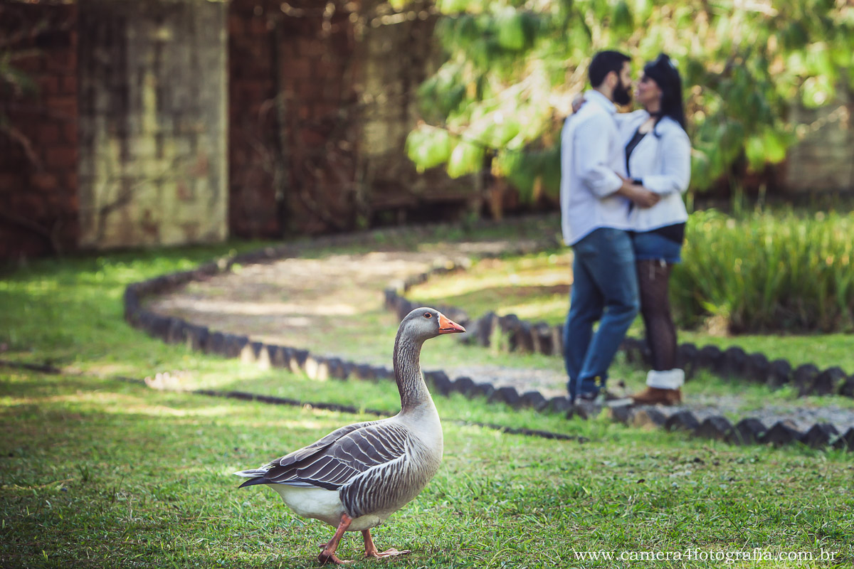 noivos no jardim na pousada em Monte Verde MG