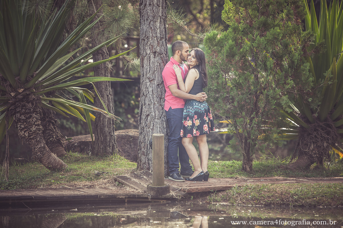noivos se abraçando no parque durante o ensaio pré wedding