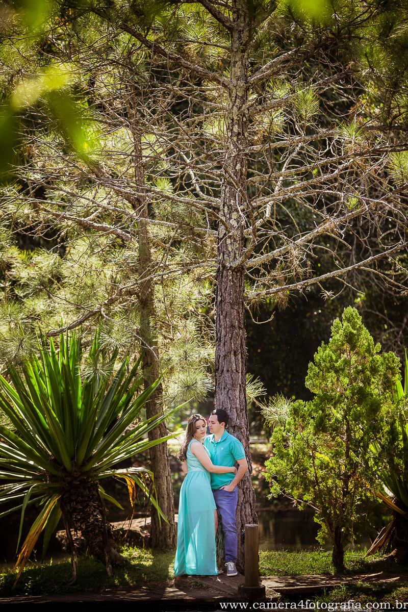 noivos se beijando em baixo da árvore no ensaio pré wedding