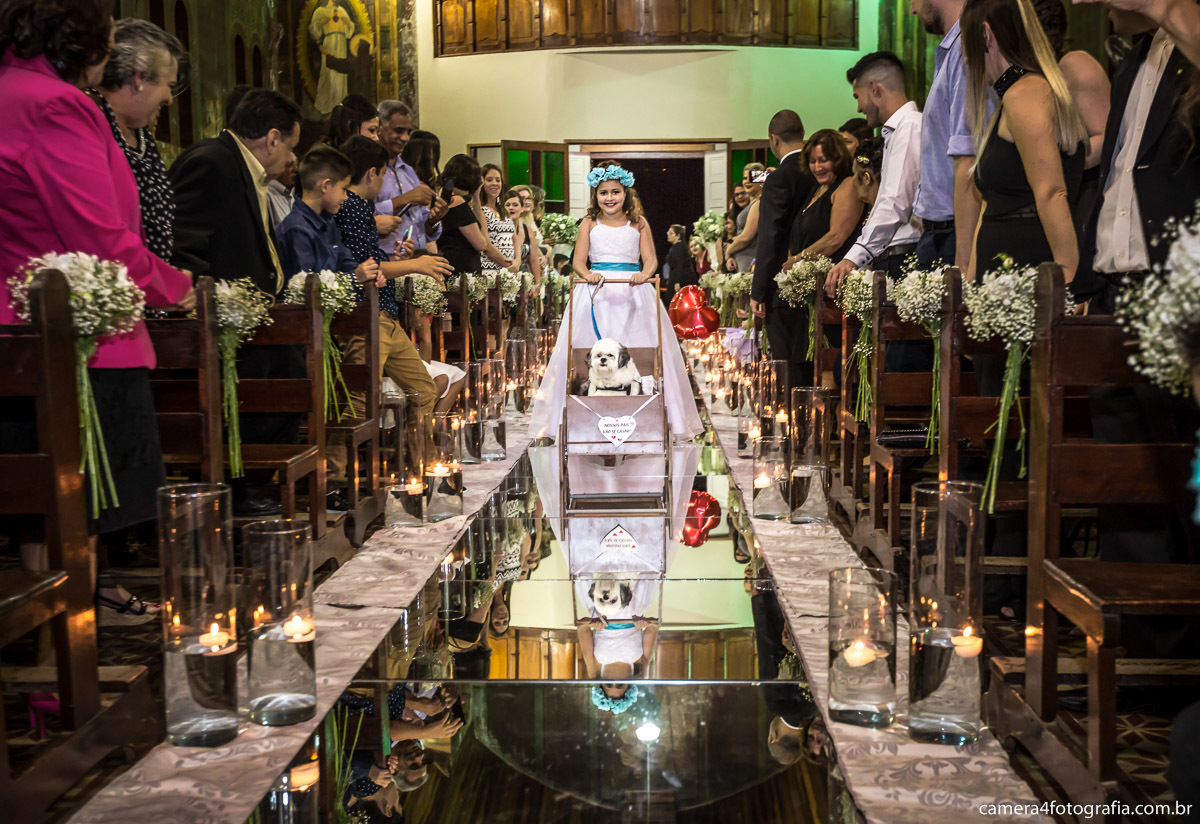 daminha de aliança com cachorro entrando na igreja