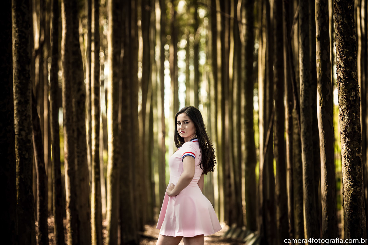 debutante no ensaio de pre aniversario de 15 anos no pinheiral