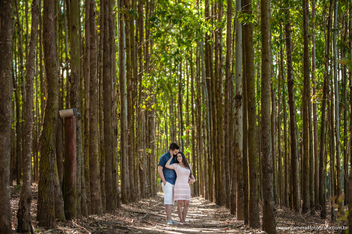 noivos durante o pré wedding no bosque de eucalíptos