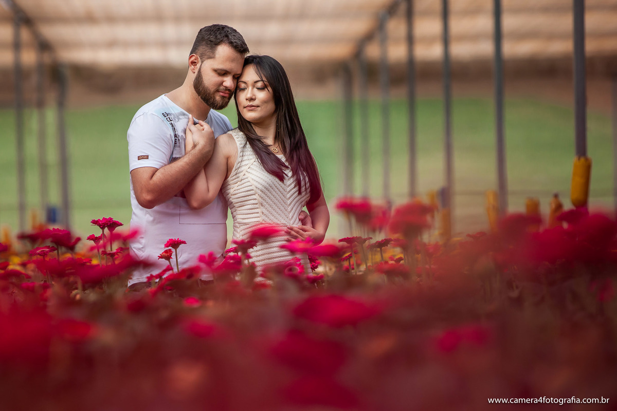 noivos nas plantação de flores em Holambra durante o ensaio pré wedding