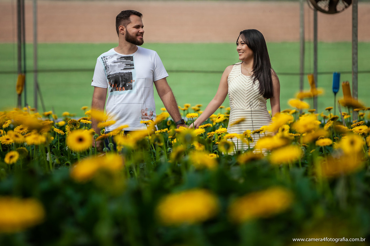 noivos se olhando nas plantação de flores em Holambra durante o ensaio pré wedding