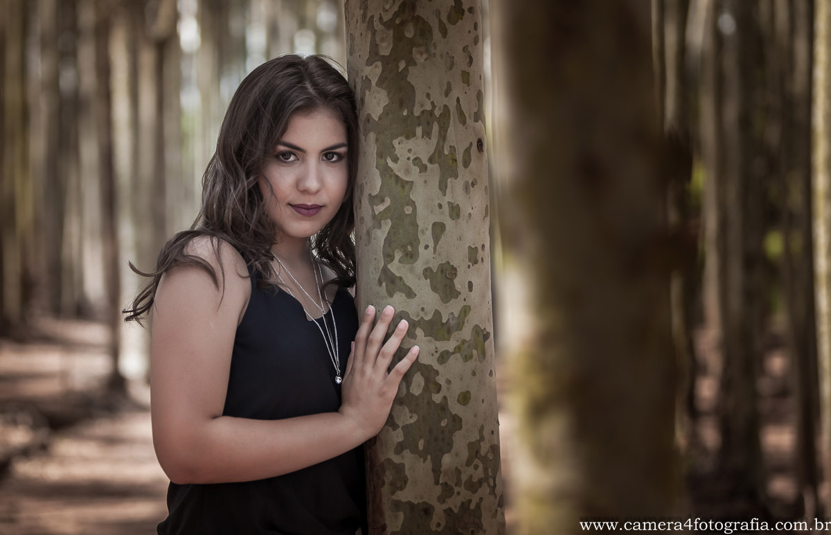 aniversariante de 15 anos