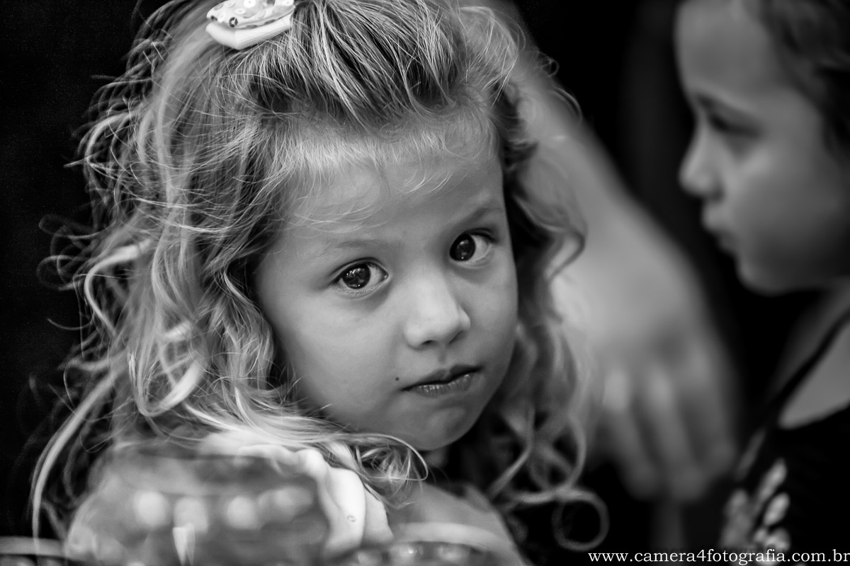 convidados da debutante