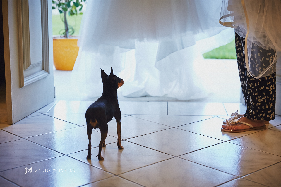 casamento, florianopolis, fotografia de casamento, mario oliveira, fotografia, fotografo de casamento, casal
