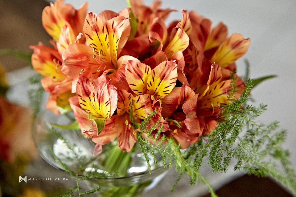 casamento no lic, making of da noiva, mario oliveira, melhor fotografo de casamento de florianopolis, fotografo em floripa