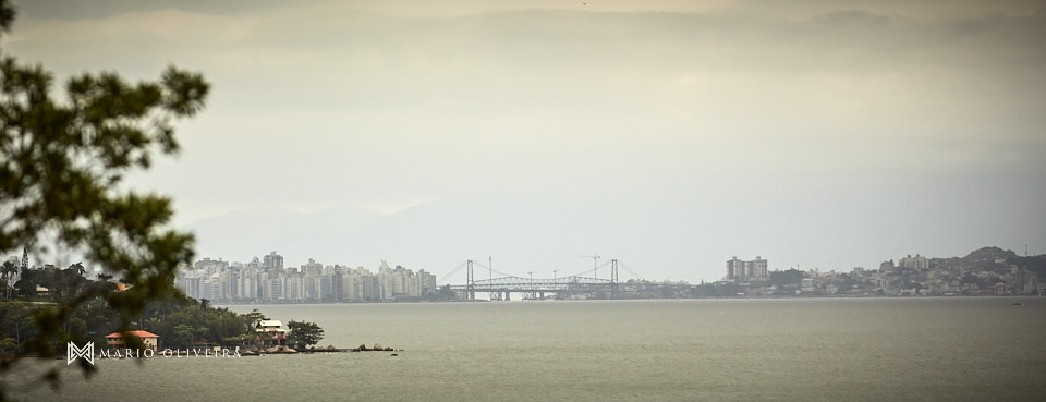 mario oliveira, melhor fotógrafo de florianópolis, casamento de dia, casamento no campo, fotografia de casamento, casamento na quinta da bela vista