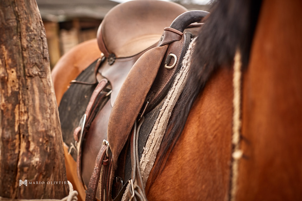 fotos de casal na fazenda, noiva andando a cavalo, mario oliveira, melhor fotografo de florianopolis, trash the dress, casal no campo, ensaio fotografico de casal na fazenda
