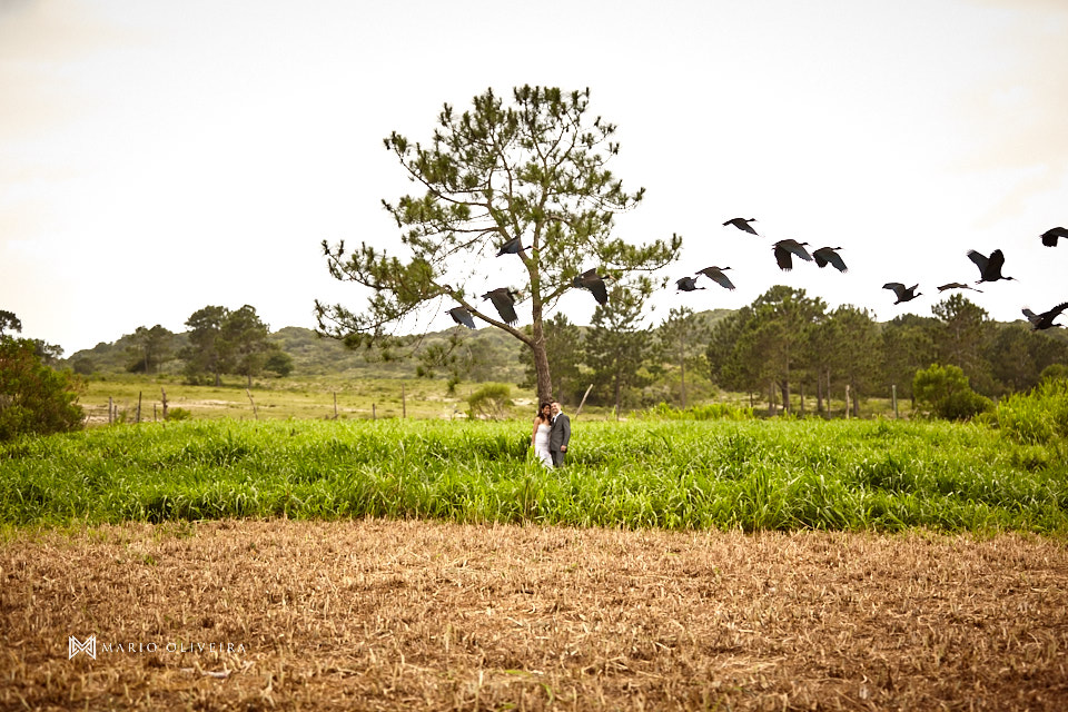 fotos de casal na fazenda, noiva andando a cavalo, mario oliveira, melhor fotografo de florianopolis, trash the dress, casal no campo, ensaio fotografico de casal na fazenda