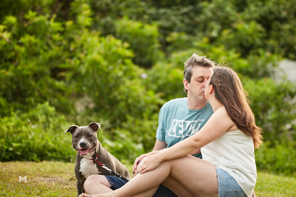 ensaio de casal, fotos no ribeirão da ilha, mario oliveira, fotografo de casamento, melhor fotografo de florianopolis, fotos com cachorro, pitbull, praia da armação, nascer do sol