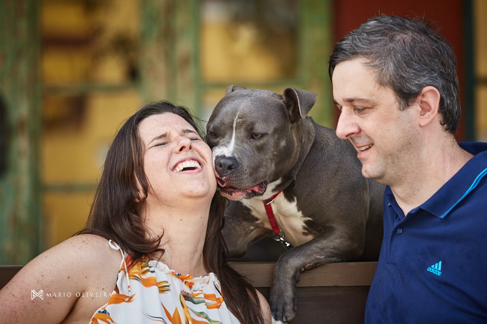 ensaio de casal, fotos no ribeirão da ilha, mario oliveira, fotografo de casamento, melhor fotografo de florianopolis, fotos com cachorro, pitbull, praia da armação, nascer do sol