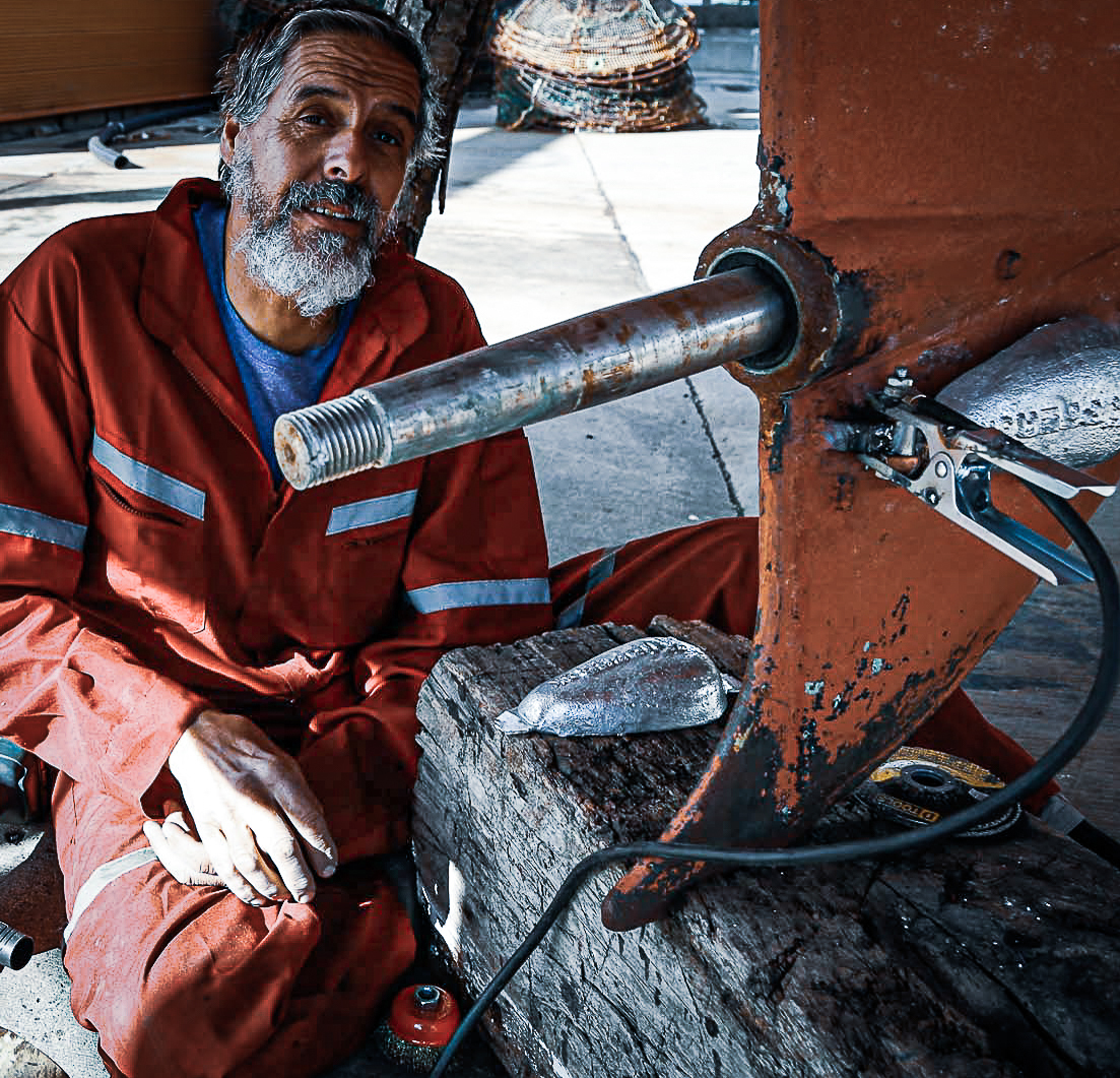 VELEJADOR ANTÂRTICO