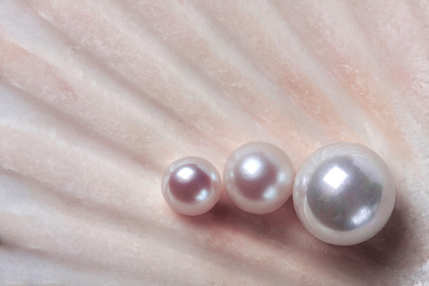 Imagem capa - Enzo e suas pérolas  por Chaiane A. Mariano