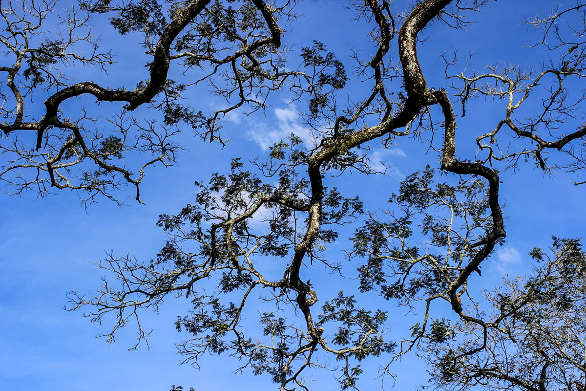 Parque Natural Tony Sauer