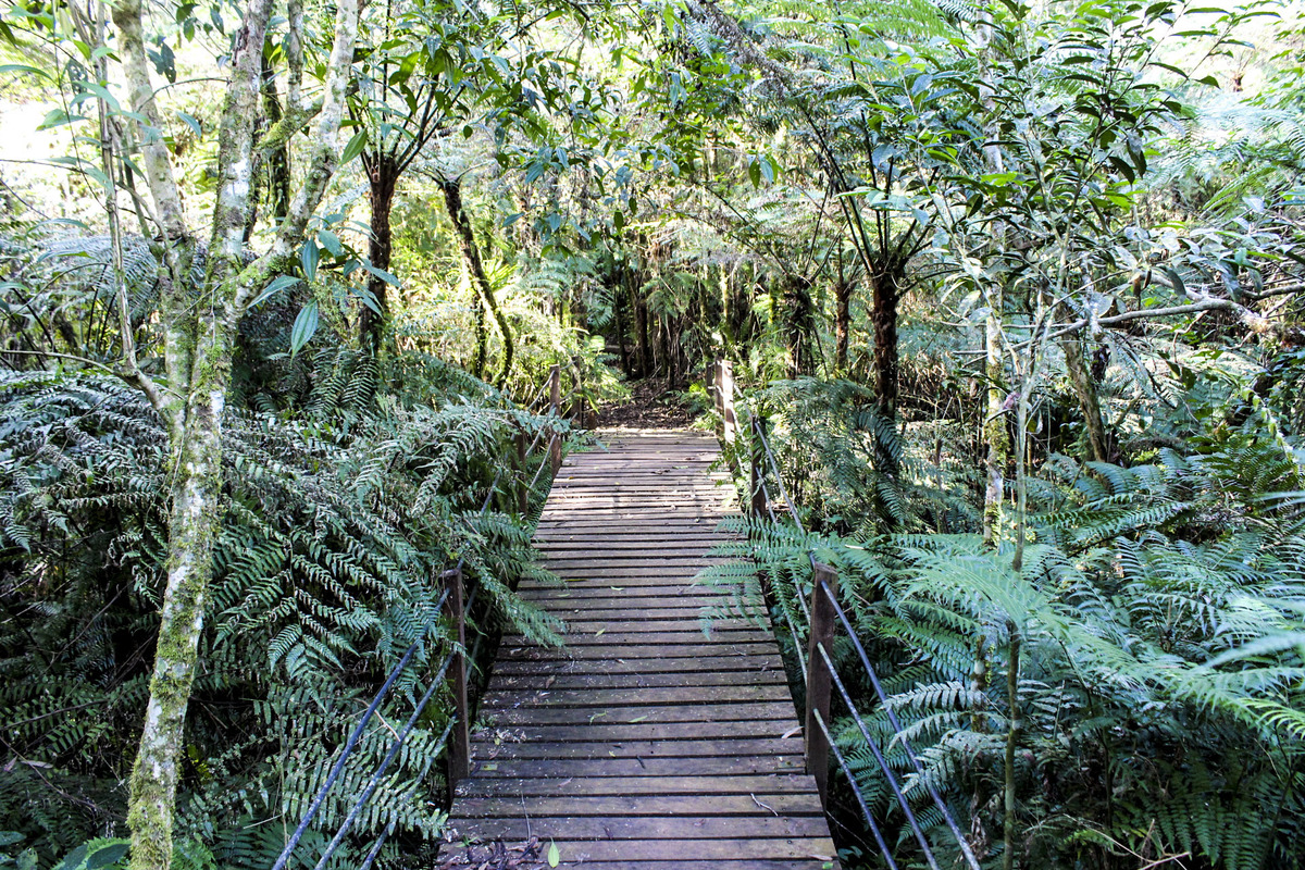 Parque Natural Tony Sauer