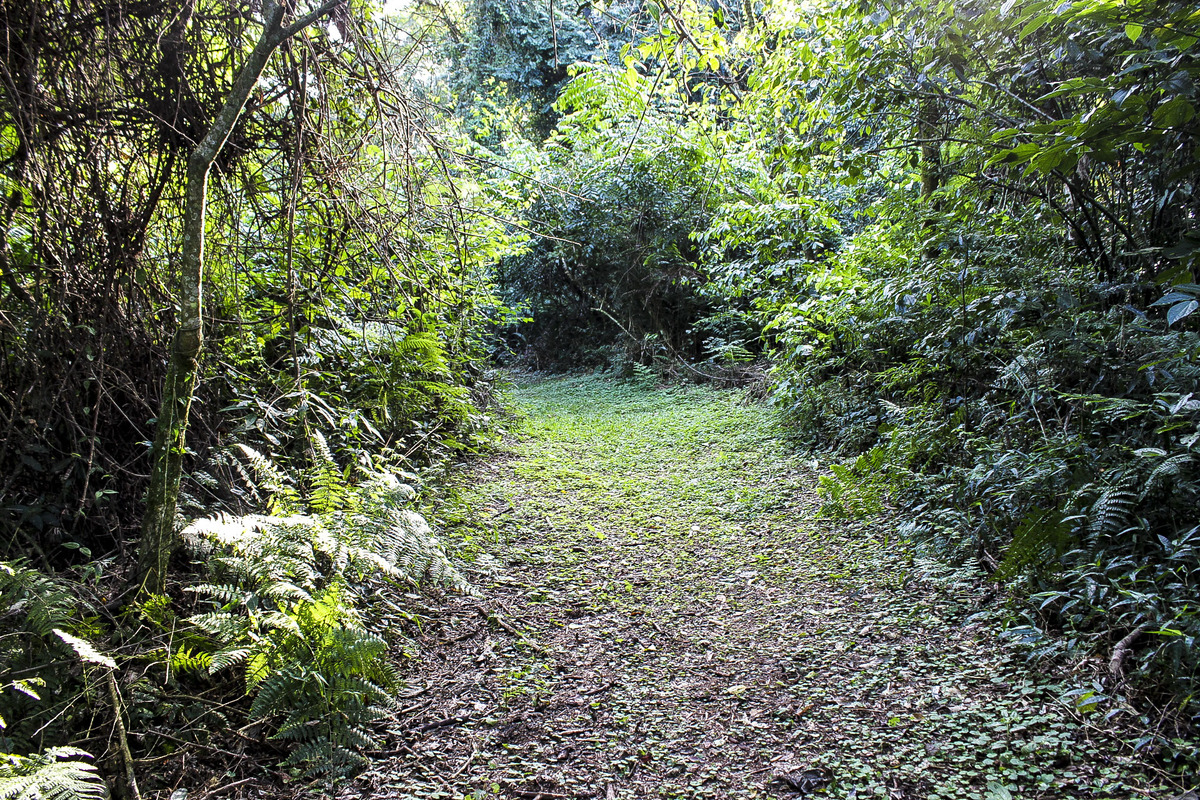 Parque Natural Tony Sauer