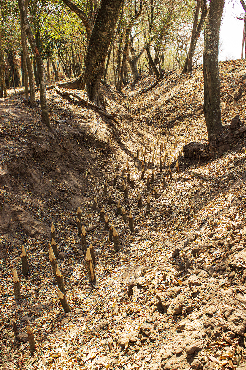 Trincheras de Curupayty