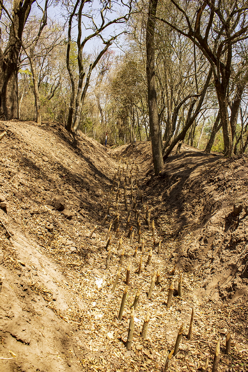 Trincheras de Curupayty