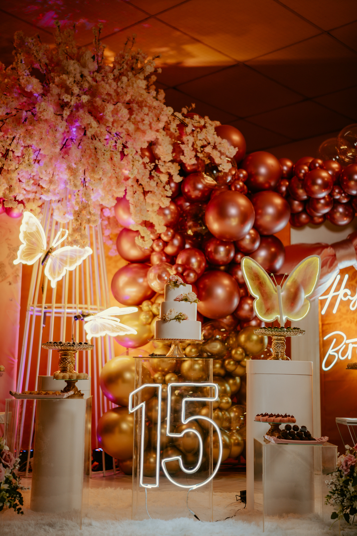 otos-fotografia-fotografo-de-15-anos-priscila-festa-de-debutante-em-rodeio-sc-adecio-cozina-moser-vale-europeu-santa-catarina-blumenau-balneario-camboriu-itajai-itapema-joinville-vestido-versat-alta-costura-indaial-making-of-salao-ld-decoracao-pink-blue-r