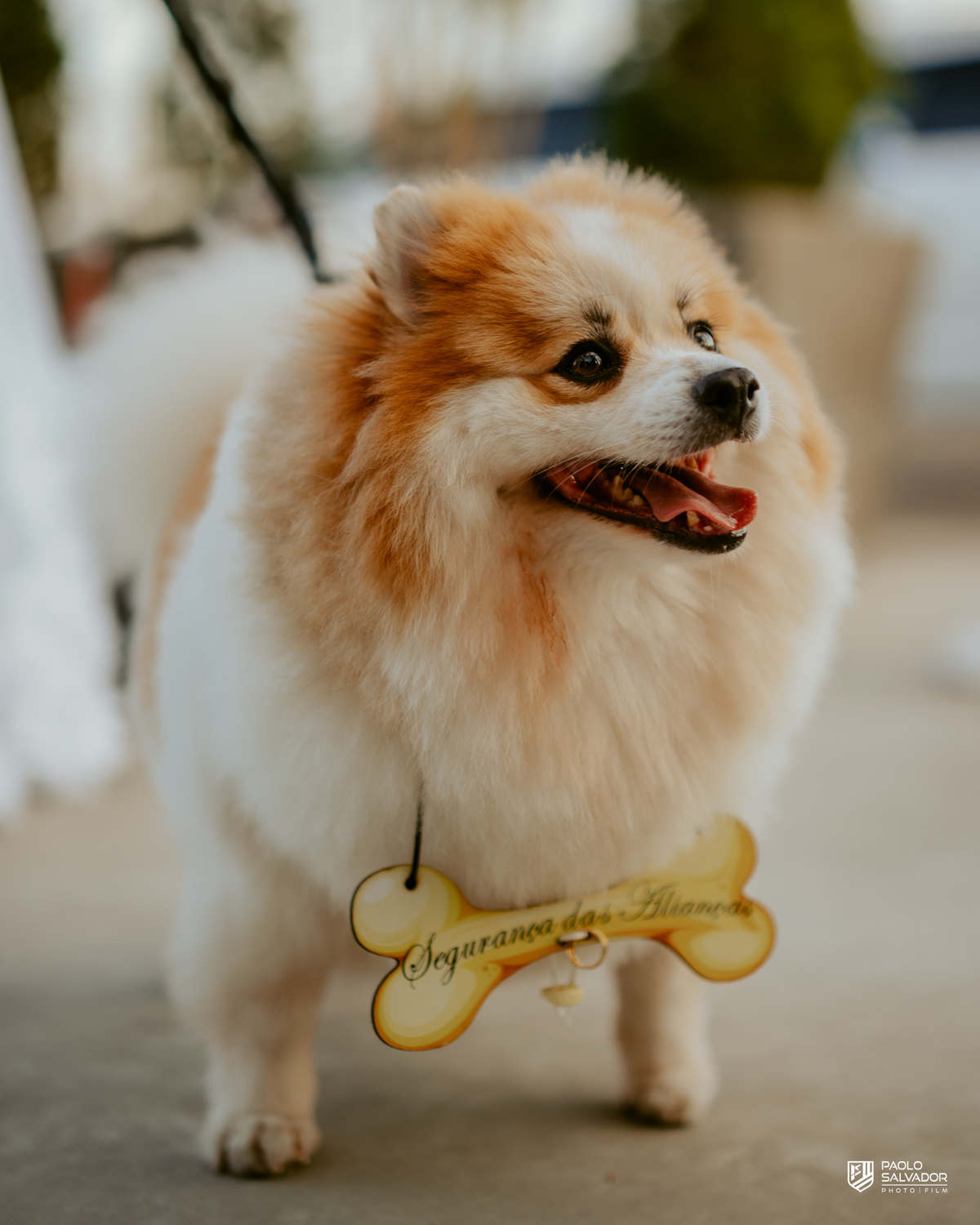 Casamento de Andresa e Gabriel no Adesso Cucina Moser em Rodeio Santa Catarina, decoração elegante da Silvana Decorações, cerimônia ao ar livre, wedding e mini-wedding no Vale Europeu, espaço sofisticado para casamentos com fotografia de casamento paolo