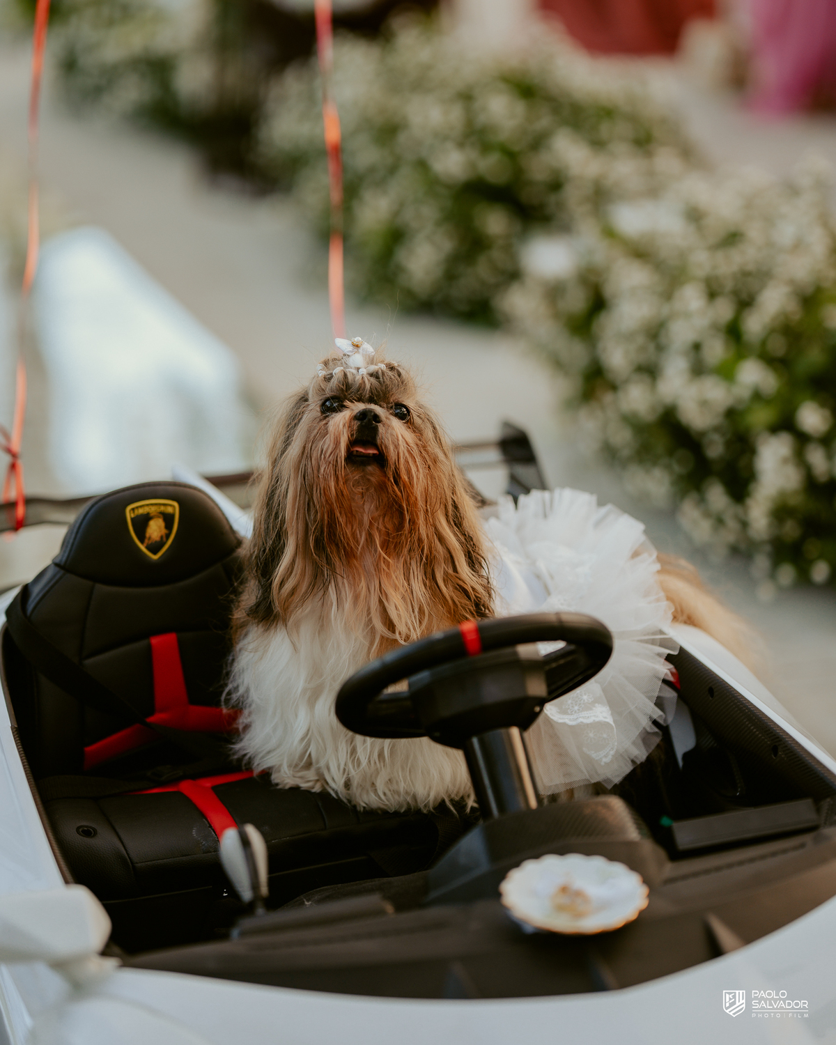 Casamento de Andresa e Gabriel no Adesso Cucina Moser em Rodeio Santa Catarina, decoração elegante da Silvana Decorações, cerimônia ao ar livre, wedding e mini-wedding no Vale Europeu, espaço sofisticado para casamentos com fotografia de casamento paolo